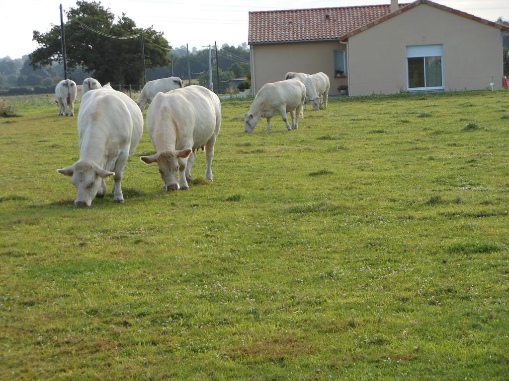 Chambre D'Hotes La Basse Gougeonniere Neuvy-en-Mauges Zewnętrze zdjęcie